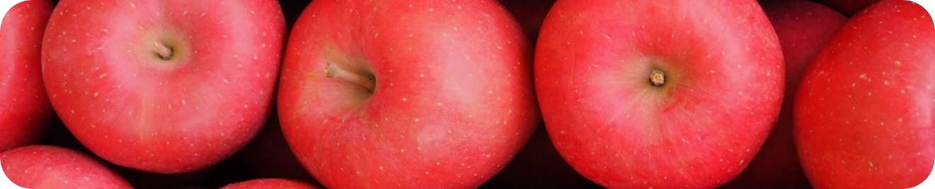 お客様にりんごが届くまで