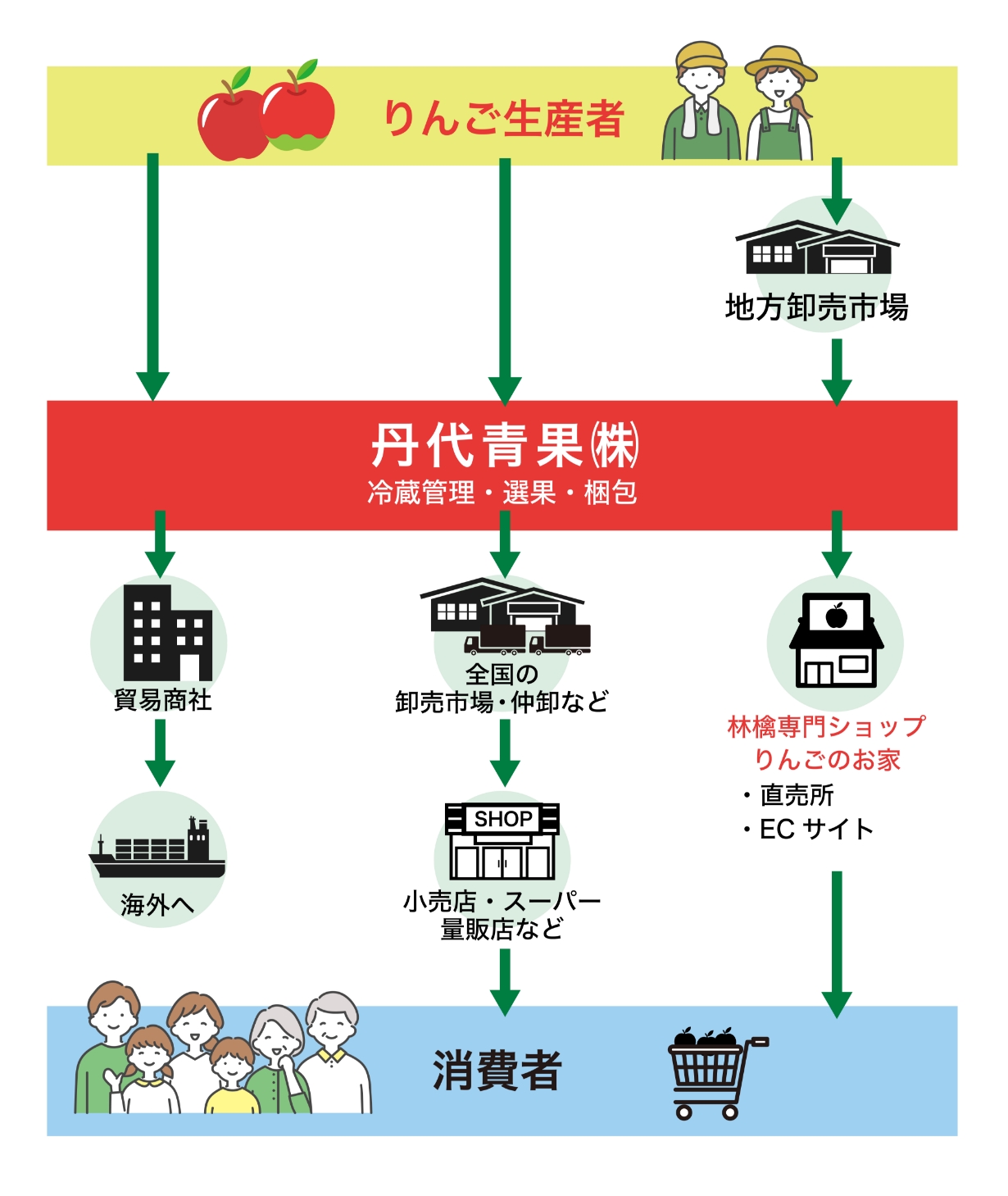 りんご流通フロー