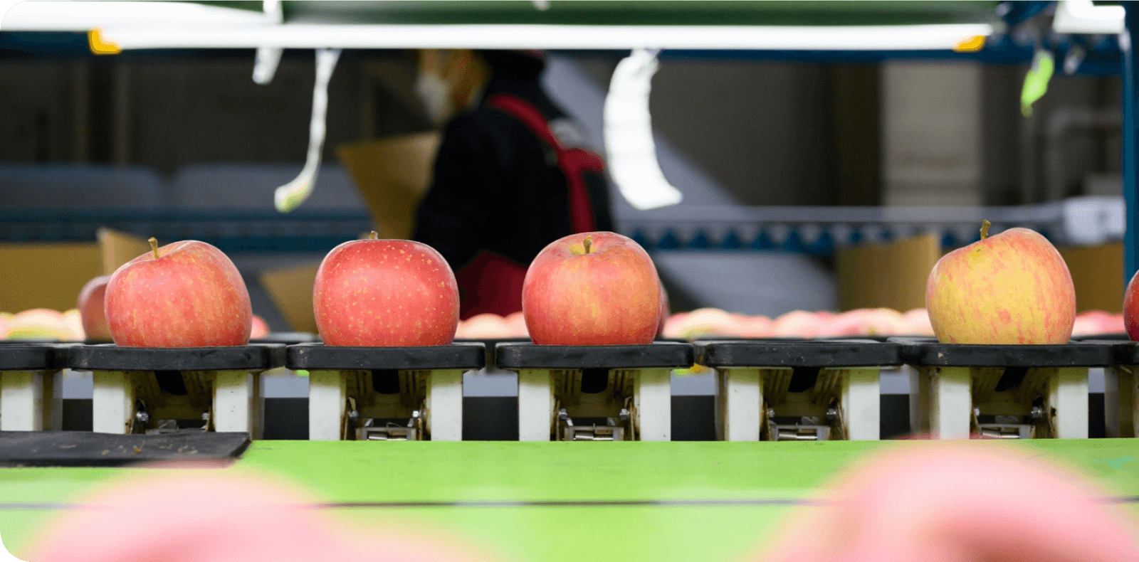 この瞬間の美味しさを、そのままに。