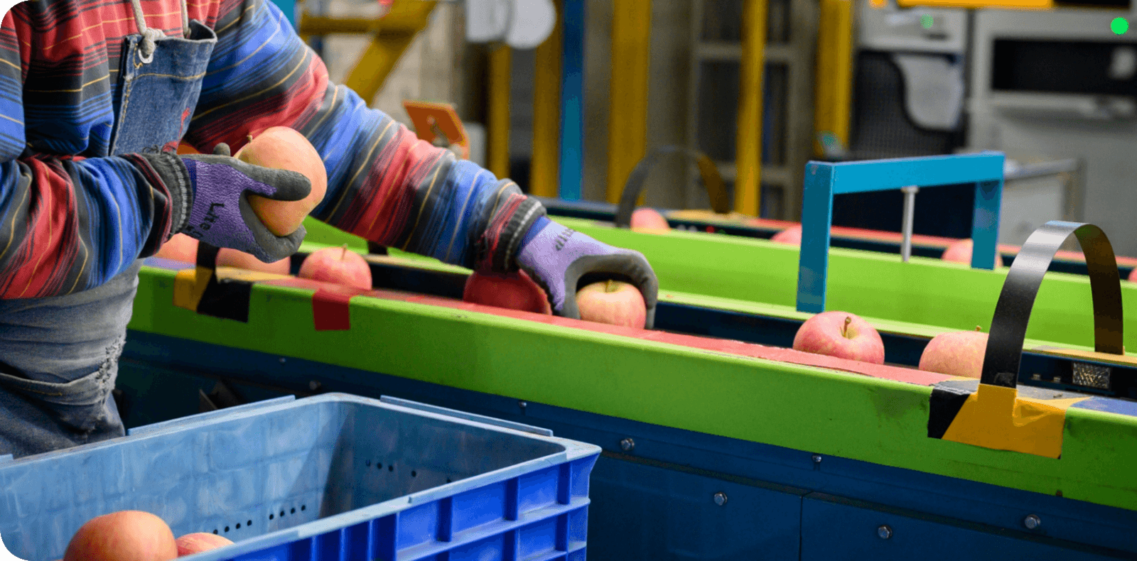 手に伝わる、りんごの声を聴いて。