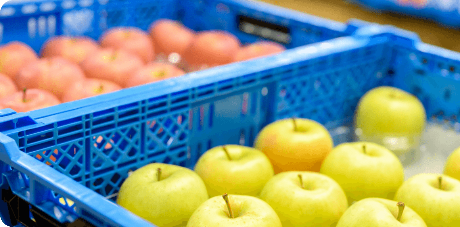 旬を逃さず、もぎたての美味しさを。